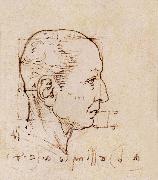 LEONARDO da Vinci Study of the proportion of the head Sweden oil painting artist
